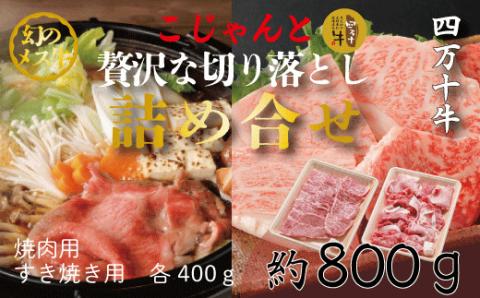 幻のメス牛　四万十牛こじゃんと贅沢な詰め合せ(焼肉用・すき焼き用)計800ｇ R5-020