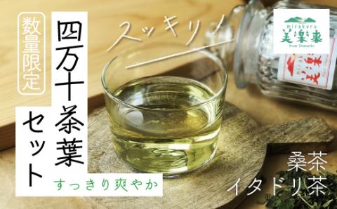 【数量限定】すっきり爽やか！四万十茶葉セット(イタドリ茶・桑茶）R5-814