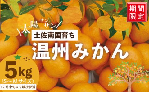 【早期受付・期間限定・数量限定】土佐南国育ち！甘いがうまい！温州みかん 5kg【2023年12月中旬～2024年1月上旬配送】