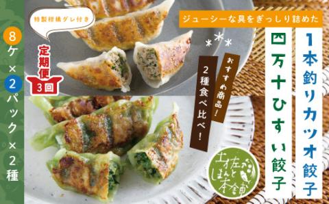 【3回定期便】家(うち)に来る“高知” ジューシーな具をぎっしり詰めた手づくり!!　四万十ひすい餃子・一本釣りかつお餃子（8ヶ×2パック×2種）・たれ付き　にんにく不使用！R6-1026