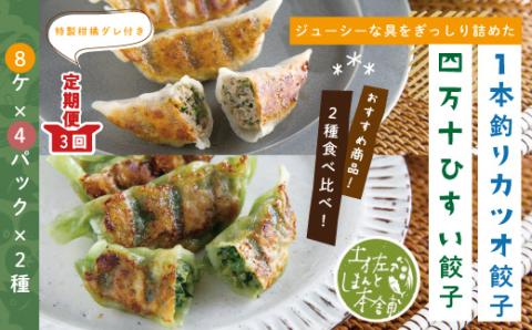 【3回定期便】家(うち)に来る“高知” ジューシーな具をぎっしり詰めた手づくり!!　四万十ひすい餃子・一本釣りかつお餃子（8ヶ×4パック×2種）・たれ付き　にんにく不使用！R6-1027