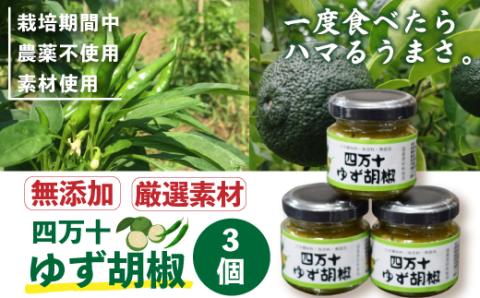 究極の無添加 四万十ゆず胡椒3個セット