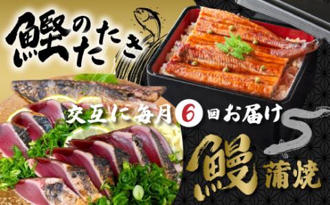 6回 定期便 うなぎ の 蒲焼 と 鰹のタタキ 月替わり 定期便 冷凍 魚 魚介 かつお カツオ 鰹 藁焼き たたき タタキ ウナギ 鰻 鰻の蒲焼 ご当地 グルメ ごちそう 総菜 おかず 四国 高知 四万十 しまんと 新鮮