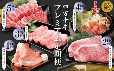 【５回定期便】幻の四万十牛　四万十産黒毛和牛を堪能　プレミアム定期便 R6-983