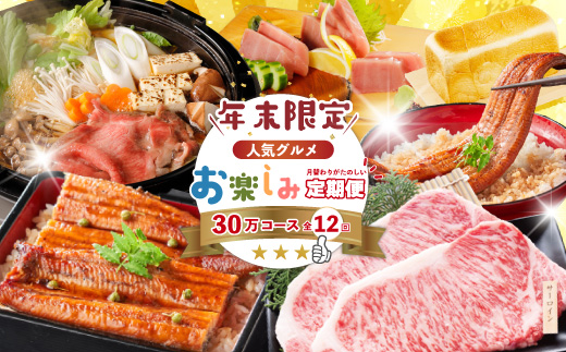 【年末限定】 12回 定期便 四万十 人気 グルメ お楽しみ定期便 しまんと ふるさと 30万円 今だけ 年末 限定 肉 うなぎ 牛肉 パン まぐろ マグロ かつお 人気グルメ ごちそう 贅沢 豪華 高知 四万十市 2025-618