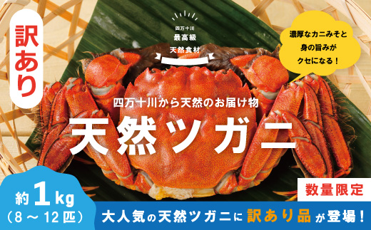 【 訳あり 数量限定 】 天然 ツガニ 約 1kg （8～12匹） 訳アリ 訳あり品 濃厚 うまみ 魚介 蟹 かに カニ つがに モクズガニ もくずがに 人気 お取り寄せ だし 味噌汁 四万十川 グルメ 高知県 高知 四万十市 四万十 しまんと