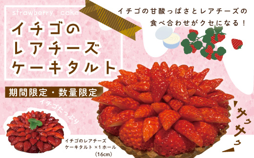 数量限定 期間限定 イチゴ たっぷり！イチゴの レアチーズ タルト 冷凍 フルーツ 果物 いちご 苺 チーズケーキ ケーキ 焼菓子 洋菓子 菓子 デザート スイーツ 高知 四万十 しまんと 限定【2026年1月中旬～4月下旬配送】