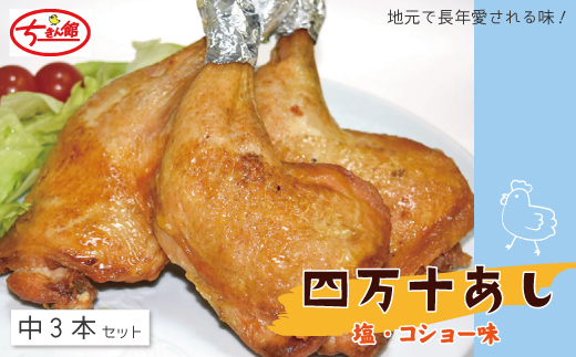 【ちきん館】四万十あし（塩・コショー味）中 3本セット 高知県 高知 四万十市 四万十 しまんと 国産 おかず チキン 鶏 鶏肉 パーティー 柔らかい 冷凍 真空 ジューシー 惣菜 ギフト