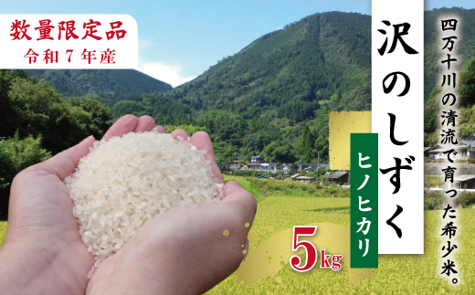 【5kg】令和7年産 米 ヒノヒカリ 精米 白米 沢のしずく 5kg×1袋 2025年 四万十市産 国産 ひのひかり おこめ こめ コメ ご飯 ごはん おいしい ふっくら もちもち 高知県 高知 四万十市 四万十 しまんと お取り寄せ