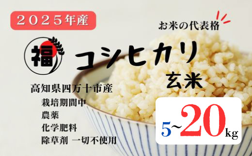 【令和7年産】四万十市産 コシヒカリ 玄米 9kg 栽培期間中農薬・ 化学肥料・除草剤不使用 国産 こしひかり 2025年産 米 おこめ こめ コメ ご飯 高知 四万十 しまんと 農家直送 蕨岡の百姓 福留壯 オーガニック 9kg×1袋