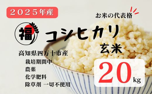 【令和7年産】四万十市産 コシヒカリ 玄米 20kg 栽培期間中農薬・ 化学肥料・除草剤不使用 国産 こしひかり 2025年産 米 おこめ こめ コメ ご飯 高知 四万十 しまんと 農家直送 蕨岡の百姓 福留壯 オーガニック 20kg×1袋