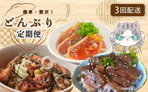 【3回定期便】ご飯にのせて！贅沢 どんぶり 定期便 3回 毎月届く 鰹 かつお カツオのたたき 鰻 ウナギ マグロ キハダマグロ 海鮮丼 ひつまぶし 鰻めし マグロ丼 漬け丼 魚介 高知県 四万十市 四万十 しまんと お取り寄せ