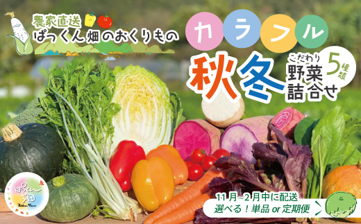 【 早期受付 4回定期便 】 とれたて 新鮮 ！ぱっくん畑のおくりもの 農家直送 秋・冬 野菜セット 約5種類 国産 野菜 やさい 先行 予約 高知県 高知 しまんと 四万十市 限定 お取り寄せ 【2026年11月～2027年2月まで毎月1回配送】 ・4回配送（2026年11月～2027年2月まで毎月1回配送）