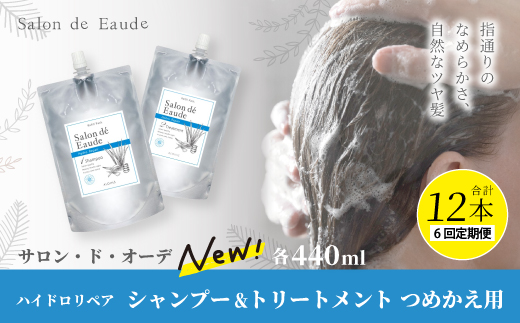 6回 定期便 サロン・ド・オーデ ハイドロリペア シャンプー ＆ トリートメント つめかえ用 各 440ml 2本 セット 合計 6本 ダメージ補修 液体 アロインス製薬 美容 美容品 化粧品 日用品 消耗品 高知 高知県 四万十 四万十市 しまんと 6回配送（合計12個）