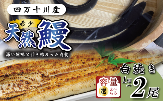 希少 四万十川産＜天然うなぎ＞白焼き 2尾（約400ｇ） 天然うなぎ 天然 四万十川 希少 鰻 ウナギ うなぎ グルメ ギフト 食べ物 食品 国産鰻 白焼 うなぎ白焼き ウナギ白焼き 鰻白焼 冷凍 国産 高知 高知県 四万十市 四万十 天然うなぎ（白焼き）約200ｇ×2尾