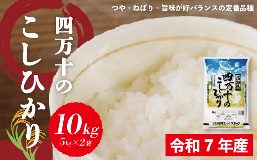 米 10kg 【 令和7年産 】 四万十 の こしひかり 5kg ×2袋 国産 1等米 予約 コシヒカリ 精米 お米 白米 ごはん ご飯 おいしい ふっくら もちもち 高知県 高知 四万十市 しまんと 土佐