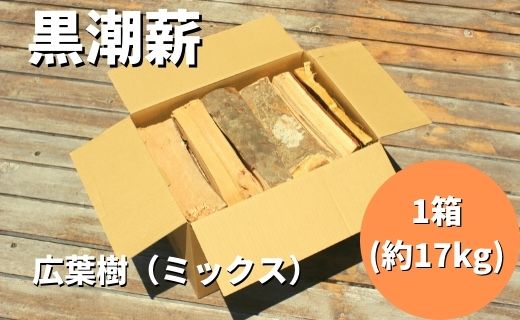 【 数量限定 】 薪ストーブ や アウトドア に！黒潮薪本舗の 黒潮薪 1箱 約17kg 薪 まき 焚き火 たき火 木 広葉樹 暖炉 キャンプ バーベキュー 木材 シイ カシ 国産 高知 四万十 しまんと【発送期間：2025年8月～2026年3月31日まで