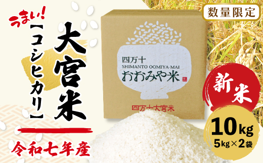 【令和7年産 新米 早期受付 数量限定】 四万十 の 米どころ 山間地域で育てた 大宮米 コシヒカリ 10kg 高知県 高知 しまんと 国産 お米 米 白米 精米 こしひかり 低農薬栽培 ご飯 産地直送 【2025年9月中旬より順次配送】