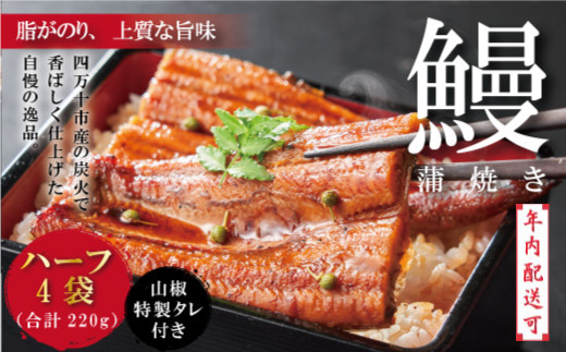 【年内配送】＜四万十食品＞ うなぎ 蒲焼 ハーフ 4袋／ＢＣ 鰻 ウナギ お取り寄せ グルメ おいしい ギフト 食品 おかず ひつまぶし うな重 魚 魚介 国産鰻 鰻蒲焼 ハーフサイズ 冷凍 国産 高知 高知県 四万十 四万十市 25-359N 4袋