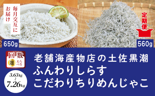【 6回 定期便 】 土佐黒潮 ふんわり しらす 650g こだわり の ちりめんじゃこ 560g 【1カ月に1回交互にお届け】合計 3.63kg 冷凍 小分け 便利 無添加 無着色 国産 小魚 魚介 海産物 グルメ お取り寄せ 6回定期便（計3.63kg）