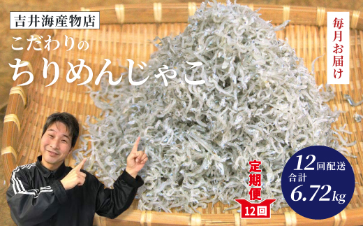 【 12回 定期便 】 土佐黒潮 こだわり の ちりめんじゃこ 560g 合計 6.72kg 毎月届く 冷凍 小分け 便利 無添加 無着色 国産 小魚 魚介 海産物 グルメ お取り寄せ 560g×12回配送（計6.72kg）