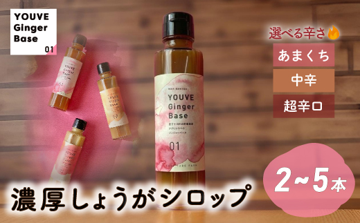 生姜好きさんにオススメ！ 濃厚 しょうがシロップ 2本セット【あまくち】国産 生姜シロップ 自家製 生姜 しょうが ショウガ ジンジャー シロップ 甘口 ドリンク 料理 調味料 高知 四万十 四万十市 しまんと 産地直送 あまくち 2本セット