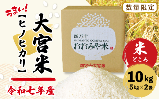【令和7年産 数量限定】 四万十 の 米どころ 山間地域で育てた 大宮米 ヒノヒカリ 10kg 高知県 高知 しまんと 国産 お米 米 白米 精米 ひのひかり 低農薬栽培 ご飯 産地直送