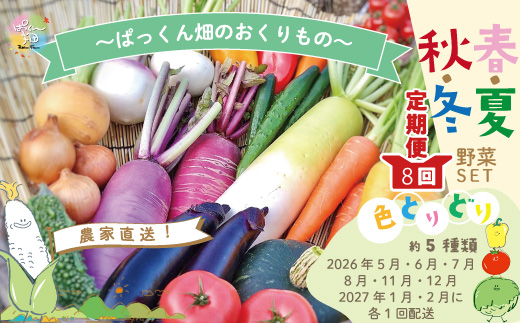 【 早期受付 8回 定期便 】 旬な野菜セット 約5種類 とれたて 新鮮 ぱっくん畑のおくりもの 農家直送 国産 野菜 やさい 高知県 高知 四万十市 四万十 しまんと 野菜便 産地直送 【2026年5月～8月、11月～2027年2月に月1回発送】
