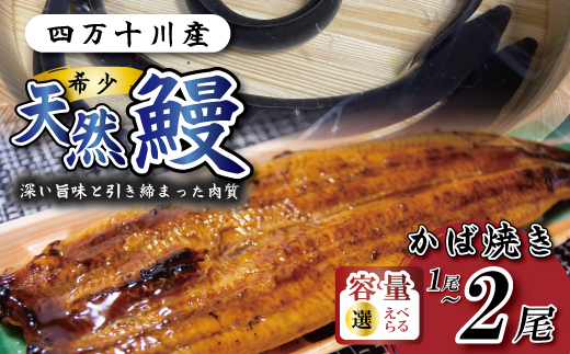 希少 四万十川産＜天然うなぎ＞蒲焼 2尾（約400ｇ） 天然うなぎ 天然 四万十川 鰻 ウナギ うなぎ グルメ 高級 贅沢 ギフト 食べ物 食品 国産鰻 蒲焼 うなぎ蒲焼 ウナギ蒲焼 鰻蒲焼 冷凍 国産 高知 四万十 四万十市 天然うなぎ（蒲焼）約200ｇ×2尾