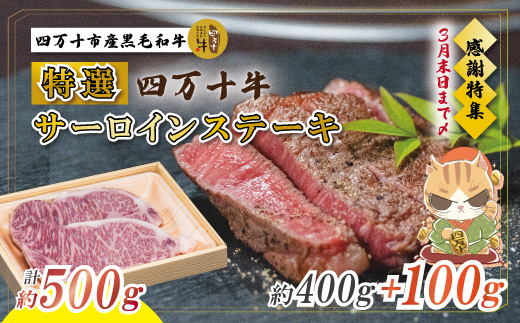 【感謝・期間限定100g付き】 ＜100個限定＞ 牧場直送 四万十牛（メス牛）特選 サーロインステーキ 約500g（400g＋100g） 高知 しまんと 四万十 肉 牛肉 黒毛和牛 四万十市 霜降り 【2026年3月31日までの受付】