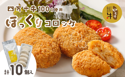 四万十牛100％！コロッケ 10個入り（5個×2パック）R5-015