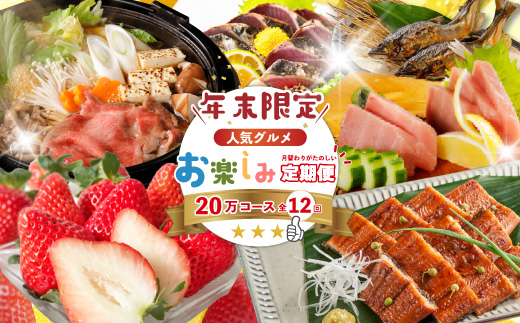 【年末限定】 12回 定期便 四万十 人気 グルメ お楽しみ定期便 しまんと ふるさと 20万円 今だけ 年末 限定 肉 いちご うなぎ 牛肉 パン まぐろ マグロ かつお フルーツ 人気グルメ ごちそう 贅沢 豪華 高知 四万十市