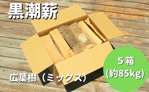 【 数量限定 】 薪ストーブ や アウトドア に！黒潮薪本舗の 黒潮薪 5箱（合計 約85kg） 薪 まき 焚き火 たき火 木 広葉樹 暖炉 キャンプ バーベキュー 木材 国産 高知 四万十 しまんと【発送期間：2025年8月～2026年3月31日まで】