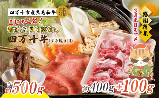 【感謝・期間限定100g付き】＜100個限定＞ 牧場直送 四万十牛（メス牛）こじゃんと 贅沢 な 切り落とし（すき焼用）約500g（400g＋100g） しまんと 四万十 牛 肉 牛肉 和牛 ロース 【2026年3月31日まで受付】