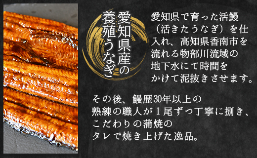 【２回定期便】国産養殖うなぎ蒲焼き 約200g×2尾(愛知県産鰻) Wfb-0073 2尾【2回定期便】 約200g