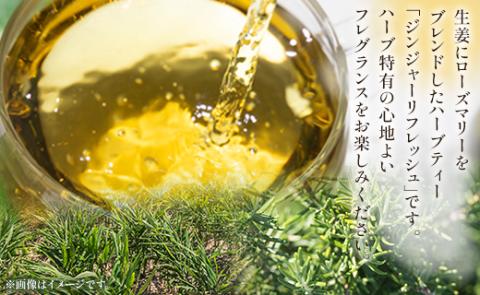 12か月定期便 ハーブティー（ジンジャーリフレッシュ）合計216袋（18袋×12回）- お茶 飲み物 ティーバッグ 茶葉 生姜 ローズマリー ハーブ リラックス Wgr-0082 ジンジャーリフレッシュ ティーバッグ 合計216袋 ※12回定期便