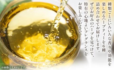 6か月定期便 さわやかハーブティー6種の詰め合わせセット 合計108袋 - お茶 ティーバッグ 茶葉 レモングラス ミント レモンバーム 生姜 ローズマリー ギフト ハーブ Wgr-0111 6種 詰め合わせ ティーバッグ 合計108袋 ※6回定期便