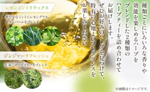 6か月定期便 ブレンドハーブティー2種の詰め合わせセット 合計108袋 - お茶 ティーバッグ 茶葉 レモンミントリラックス ジンジャーリフレッシュ ハーブ リラックス Wgr-0117 2種 詰め合わせ	 ティーバッグ 合計108袋 ※6回定期便
