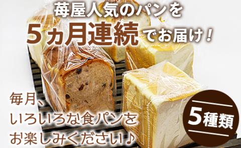 【5か月定期便】苺屋 食パンの定期便 5回 - 送料無料 しょくぱん お楽しみ 食べ比べ こだわり レーズン 酒粕 白玉糖 贈り物 ギフト 贈答 朝食 おやつ ベーカリー パン好き Wit-0071