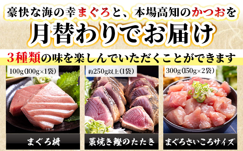 【3回定期便】〈月替わり〉かつお・まぐろ お楽しみセット Wnz-0120