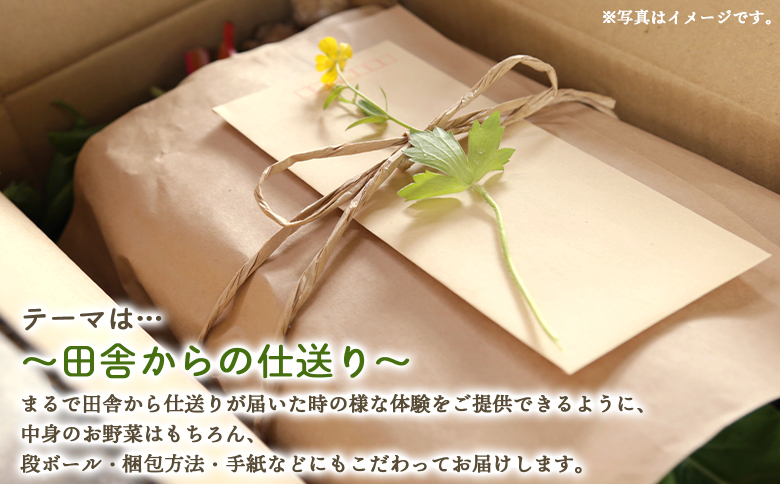 定期便2回コース 高知県香南市産 旬のお野菜詰合せ(10～13品目) Wpr-0018