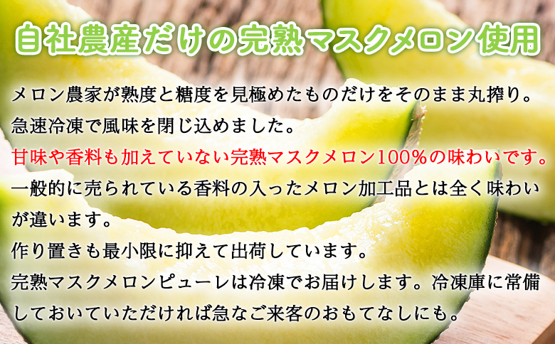 【2回定期便】完熟マスクメロンピューレ 120g×6袋 Wtn-0030