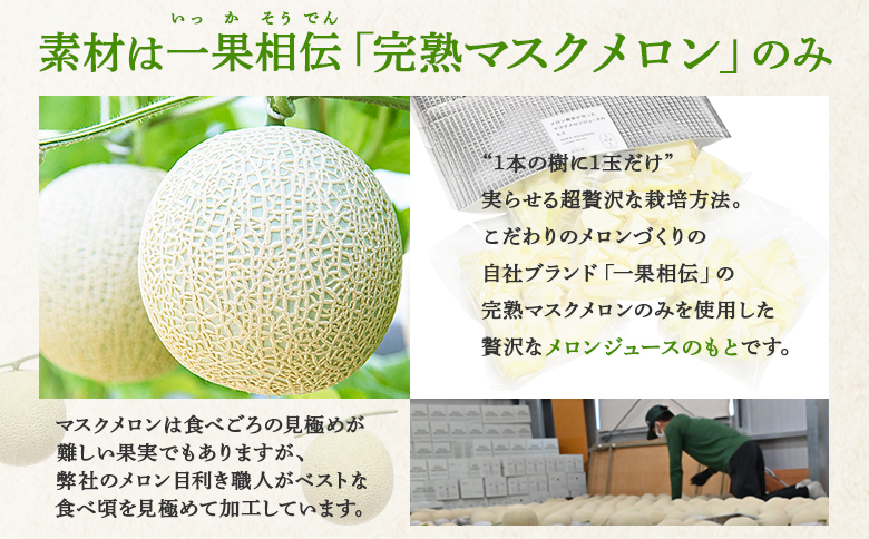 【6回定期便】メロンジュースのもと 約800ｇ 約165g×5パック Wtn-0035