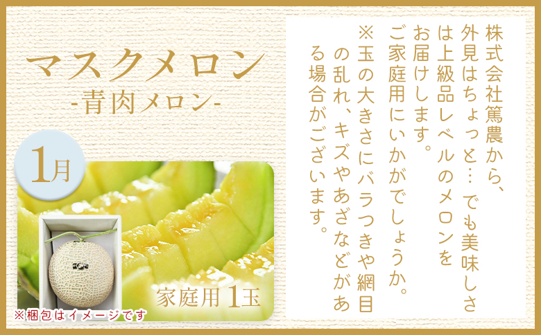 【４回定期便】メロン堪能定期便 Wtn-0042