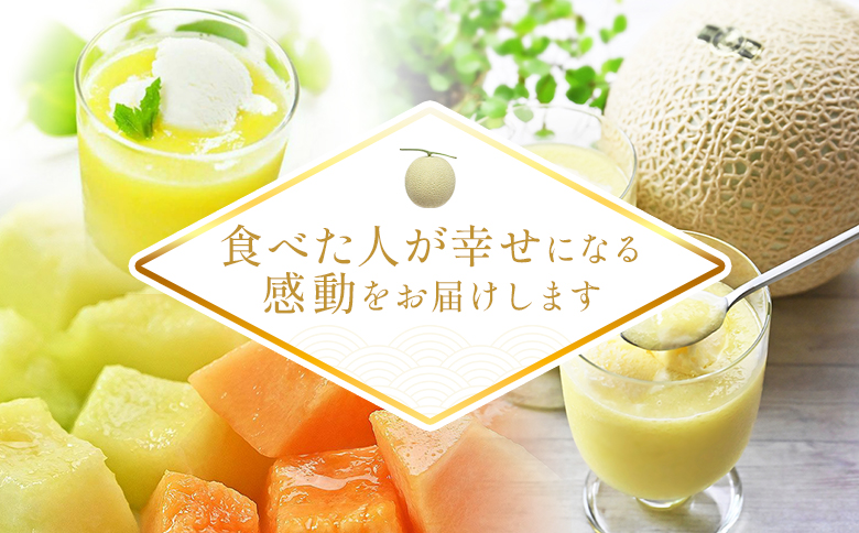 【８回定期便】メロン堪能定期便 Wtn-0043