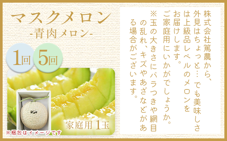 【８回定期便】メロン堪能定期便 Wtn-0055