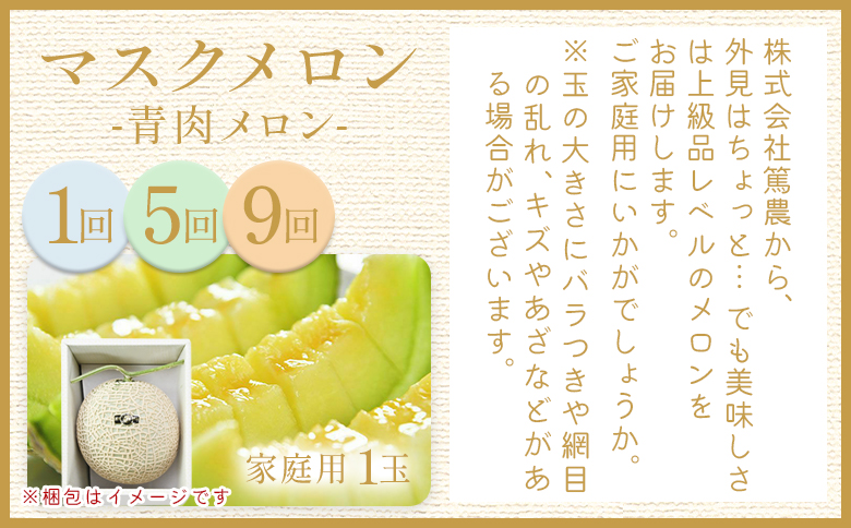 【12回定期便】メロン堪能定期便 Wtn-0056