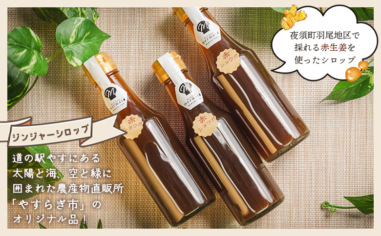 【3回定期便】やすらぎ市 ジンジャーシロップ200ml×5本 - 赤生姜 ショウガ あか しょうが 贈り物 おすそ分け 特産品 ジンジャーエール 料理 調味料 手作りドリンク お菓子 お歳暮 御歳暮 熱中症対策 高知県 香南市 Wyr-0056