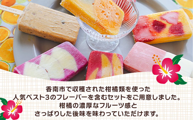 【２回定期便】手作りアイスキャンディー １２本セット Wys-0017