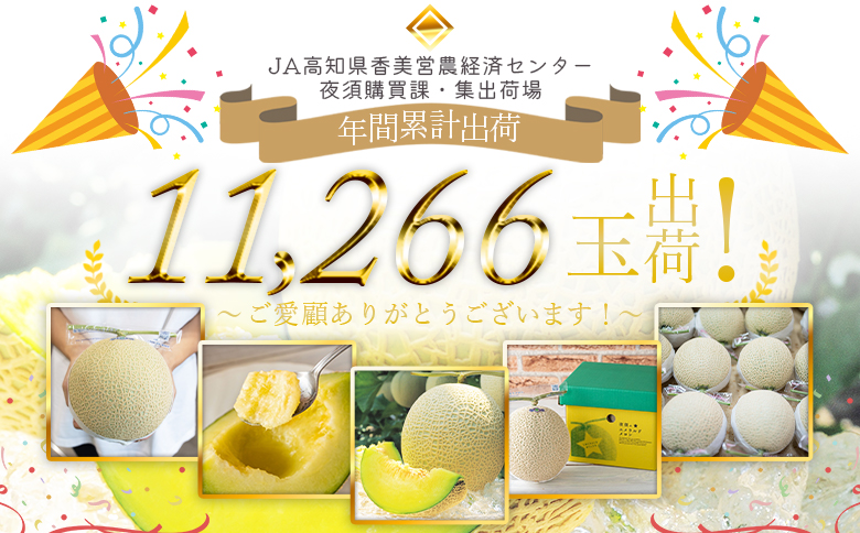 【6回定期便】夜須のエメラルドメロン 1玉 テレビ朝日「ザワつく!金曜日」で特集 紹介 くだもの フルーツ ギフト マスクメロン 青肉 ギフト 贈答用 ご褒美 高級 お礼 御祝 産地直送 JA 高知県農業協同組合 香南市 常温 Wyu-0059 【6回定期便】 1玉